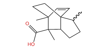 anti-syn-syn-Helifolen-12-oic acid